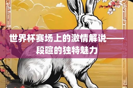 世界杯赛场上的激情解说——段暄的独特魅力