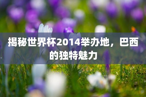 揭秘世界杯2014举办地，巴西的独特魅力