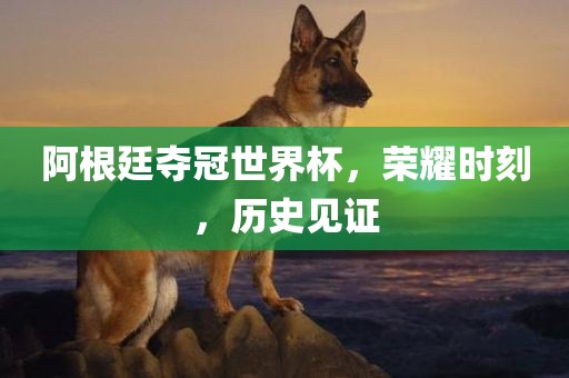 阿根廷夺冠世界杯，荣耀时刻，历史见证