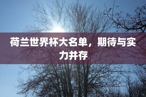 荷兰世界杯大名单，期待与实力并存