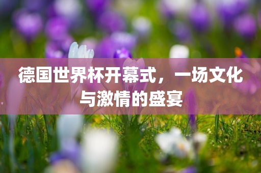 德国世界杯开幕式，一场文化与激情的盛宴