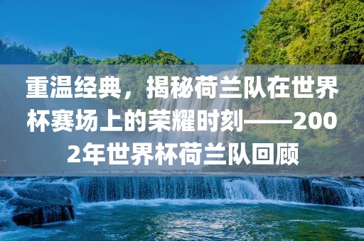 重温经典，揭秘荷兰队在世界杯赛场上的荣耀时刻——2002年世界杯荷兰队回顾