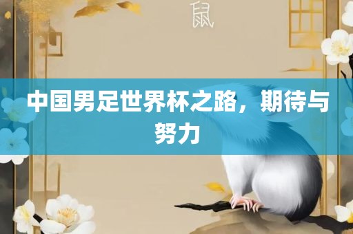 中国男足世界杯之路，期待与努力