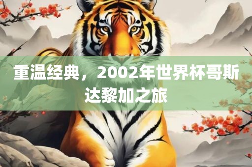 重温经典，2002年世界杯哥斯达黎加之旅