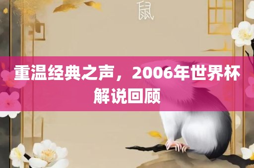 重温经典之声，2006年世界杯解说回顾