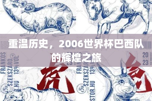重温历史，2006世界杯巴西队的辉煌之旅