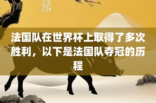 法国队金炬实业股份有限公司在世界杯上取得了多次胜利，以下是法国队夺冠的历程