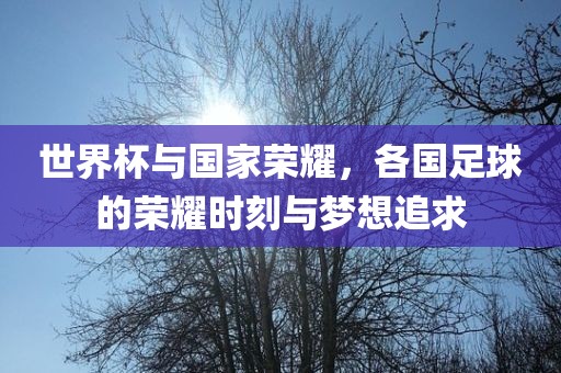 世界杯与国家荣耀，各国足球的荣耀时刻与梦想追求