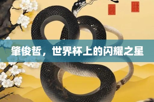 肇俊哲，世界杯上的闪耀之星