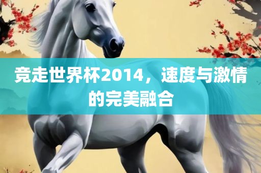 竞走世界杯2014，速度与激情的完美融合