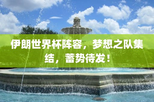 伊朗世界杯阵容，梦想之队集结，蓄势待发！