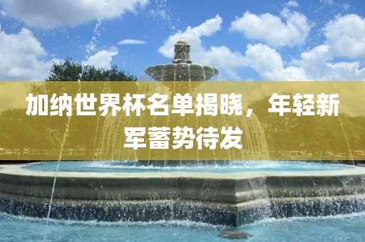 加纳世界杯名单揭晓，年轻新军蓄势待发