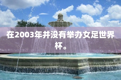 在2003年并没有举办女足世界杯。