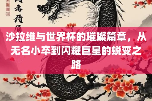 沙拉维与世界杯的璀璨篇章，从无名小卒到闪耀巨星的蜕变之路