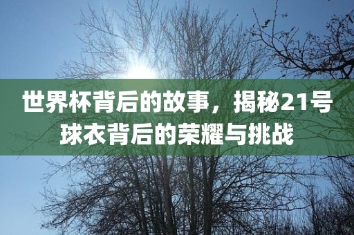 世界杯背后的故事，揭秘21号球衣背后的荣耀与挑战