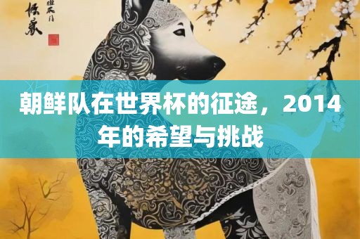 朝鲜队在世界杯的征途，2014年的希望与挑战