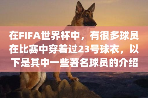 在FIFA世界杯中，有很多球员在比赛中穿着过23号球衣，以下是其中一些著名球员的介绍