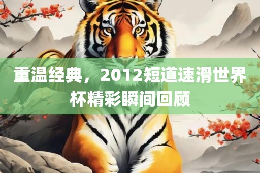 重温经典，2012短道速滑世界杯精彩瞬间回顾