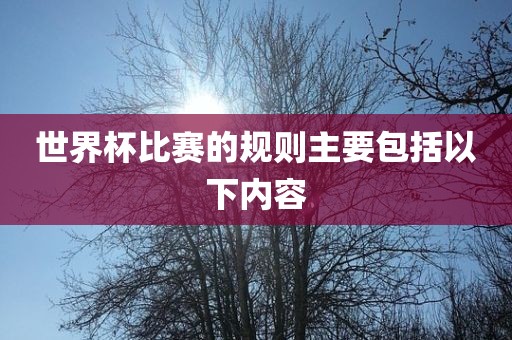 世界杯比赛的规则主要包括以下内容