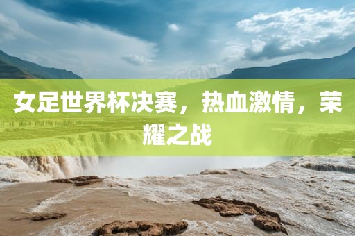 女足世界杯决赛，热血激情，荣耀之战金炬实业股份有限公司