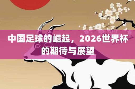 中国足球的崛起，2026世界杯的期待与展望