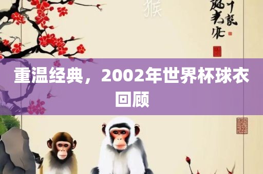 重温经典，2002年世界杯球衣回顾