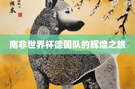 南非世界杯德国队的辉煌之旅