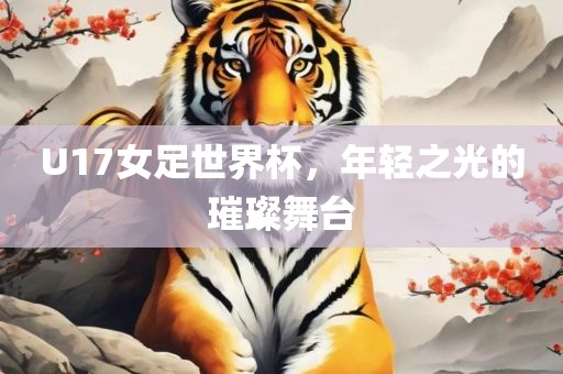 U17女足世界杯，年轻之光的璀璨舞台