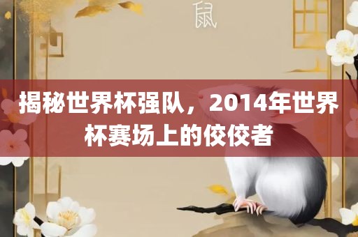 揭秘世界杯强队，2014年世界杯赛场上的佼佼者