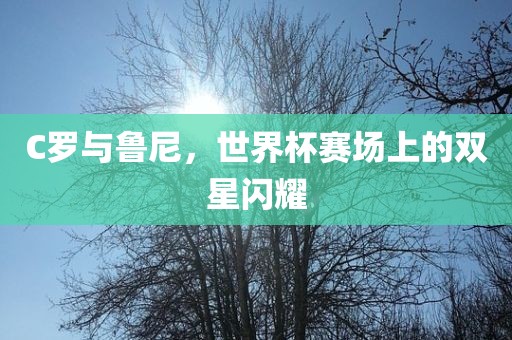 C罗与鲁尼，世界杯赛场上的双星闪耀