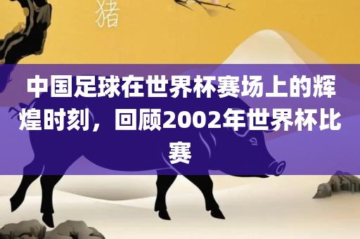 中国足球在世界杯赛场上的辉煌时刻，回顾2002年世界杯比赛