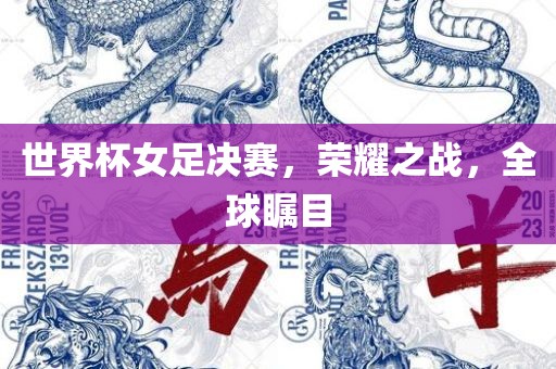 世界杯女足决赛，荣耀之战，全球瞩目