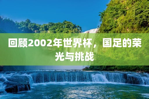 回顾2002年世界杯，国足的荣光与挑战