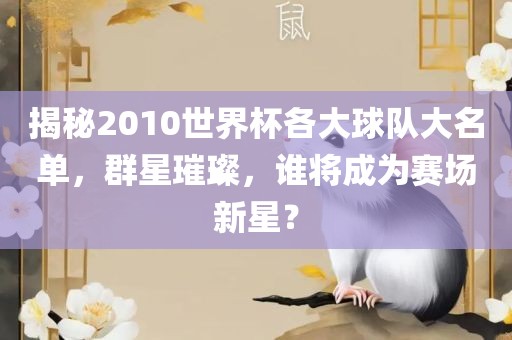 揭秘2010世界杯各大球队大名单，群星璀璨，谁将成为赛场新星？