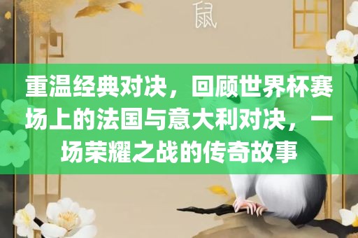 重温经典对决，回顾世界杯赛场上的法国与意大利对决，一场荣耀之战的传奇故事