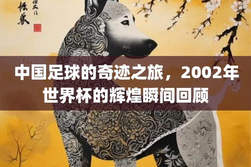 中国足球的奇迹之旅，2002年世界杯的辉煌瞬间回顾