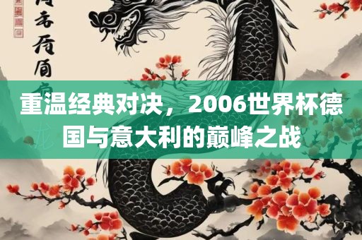 重温经典对决，2006世界杯德国与意大利的巅峰之战