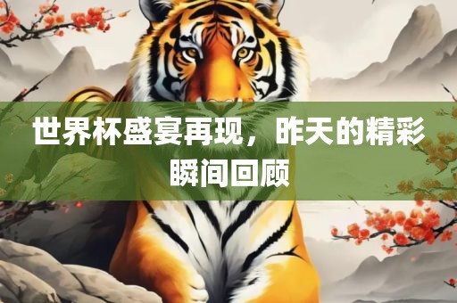 世界杯盛宴再现，昨天的精彩瞬间回顾