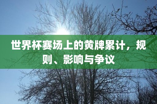 世界杯赛场上的黄牌累计，规则、影响与争议