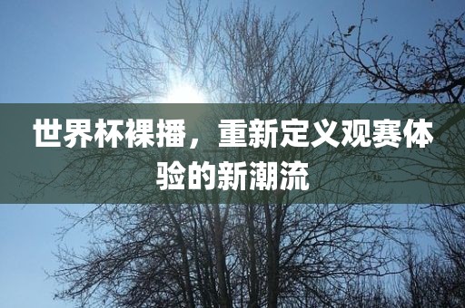 世界杯裸播，重新定义观赛体验的新潮流