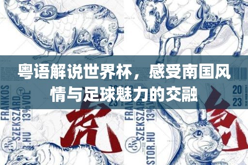 粤语解说世界杯，感受南国风情与足球魅力的交融