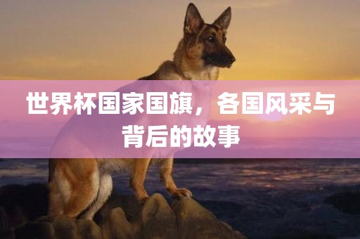 世界杯国家国旗，各国风采与背后的故事