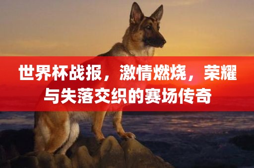 世界杯战报，激情燃烧，荣耀与失落交织的赛场传奇