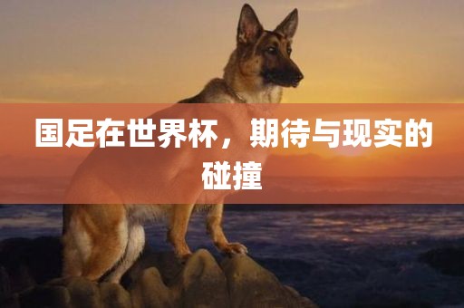 国足在世界杯，期待与现实的碰撞