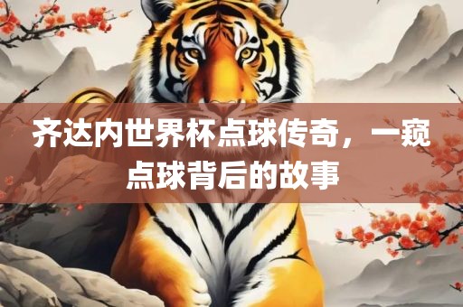 齐达内世界杯点球传奇，一窥点球背后的故事