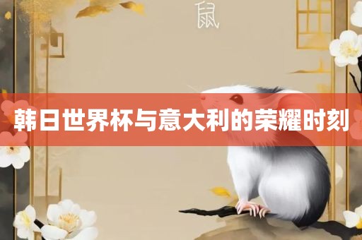 韩日世界杯与意大利的荣耀时刻