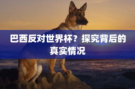 巴西反对世界杯？探究背后的真实情况