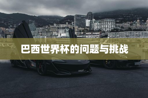 巴西世界杯的问题与挑战