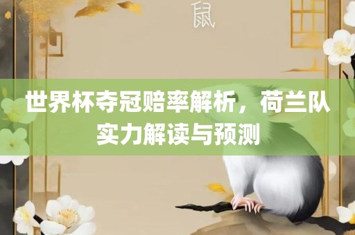 世界杯夺冠赔率解析，荷兰队实力解读与预测