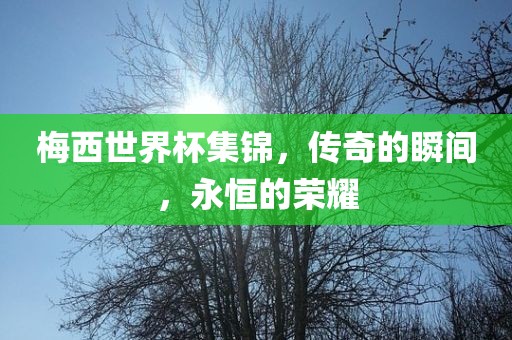 梅西世界杯集锦，传奇的瞬间，永恒的荣耀